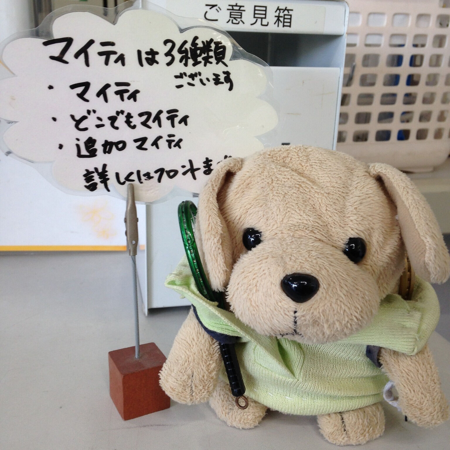 みなさんこんにちは！