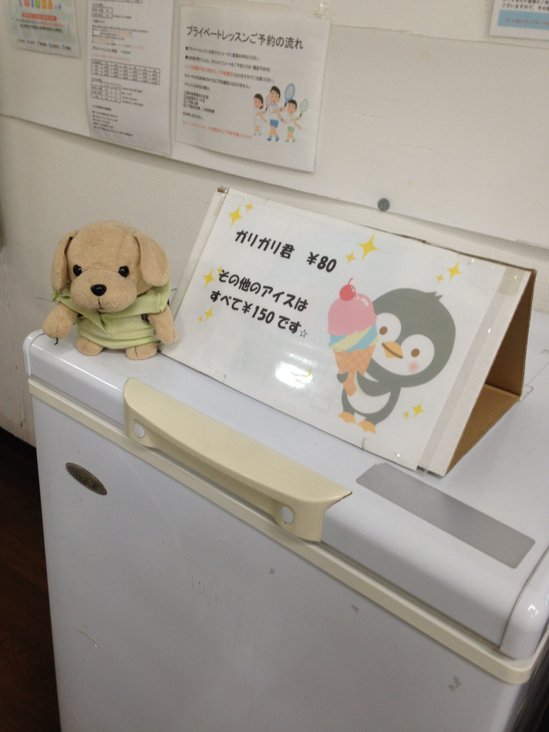 みなさんこんにちは～♪