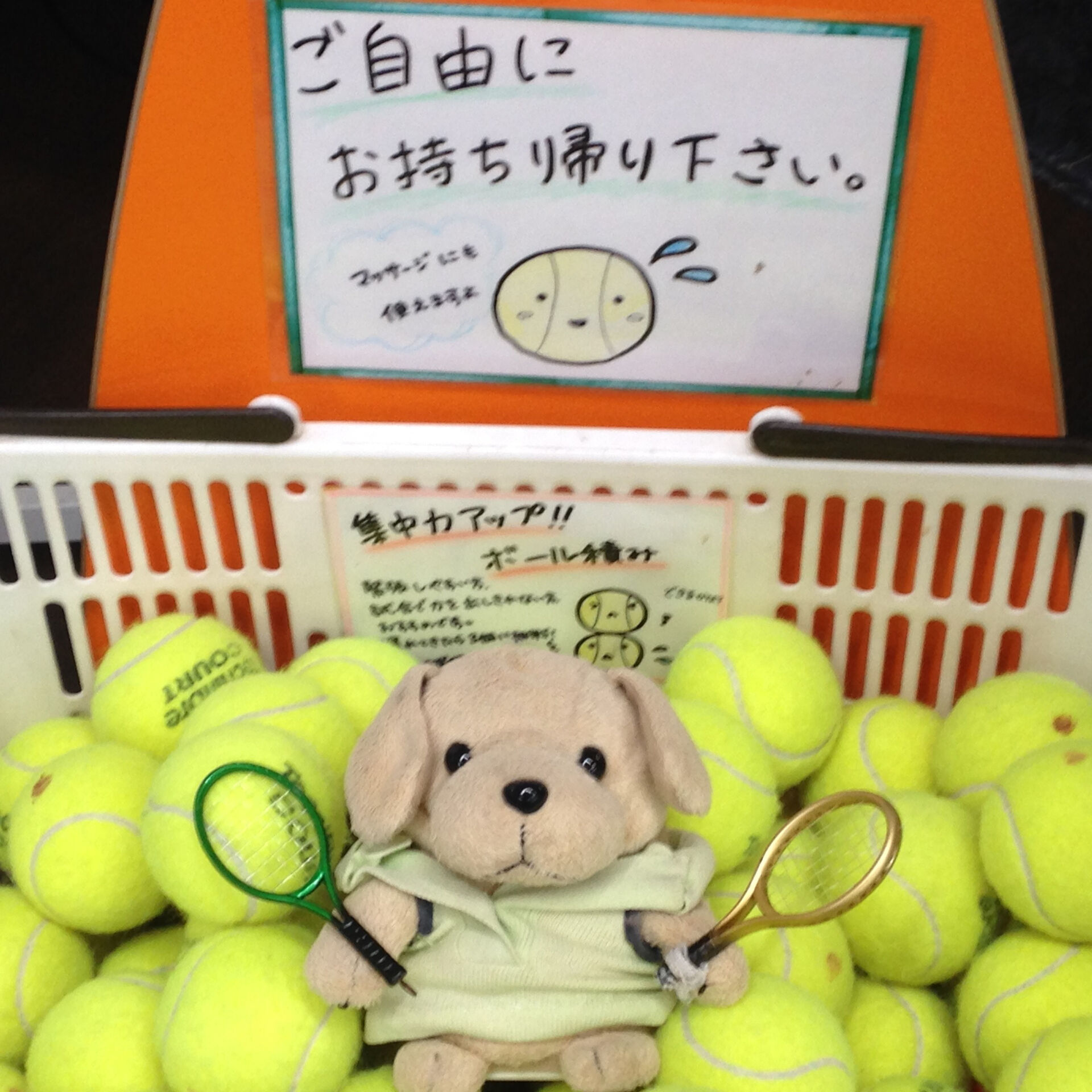 みなさんこんにちは😊