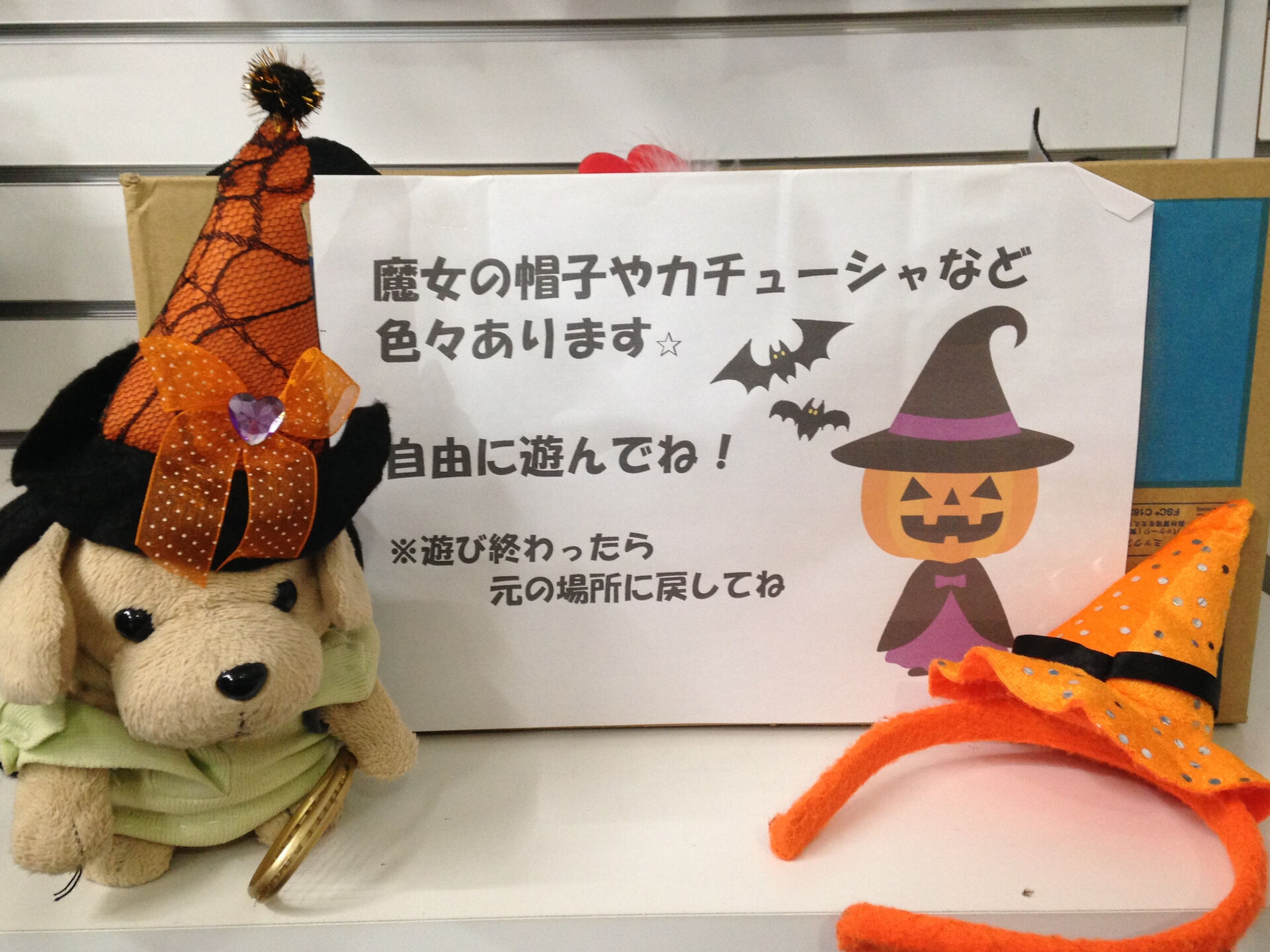 みなさんこんにちは😊